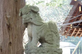 北海道神宮 狛犬