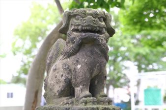 丘珠神社 狛犬様