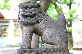 手稲神社 狛犬様