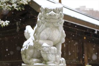 雪降る琴似神社の狛犬様
