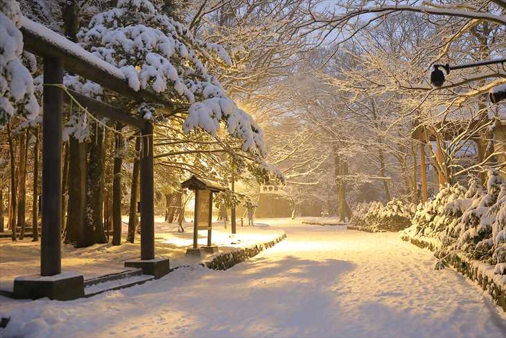 冬の夜の北海道神宮