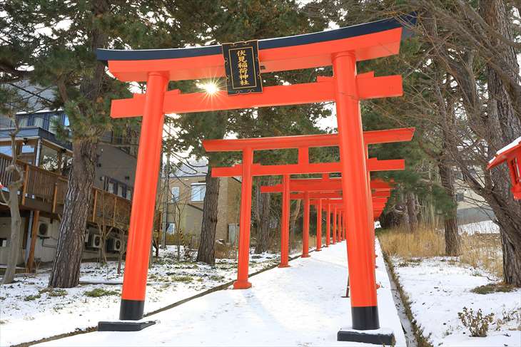 冬の札幌伏見稲荷神社の鳥居